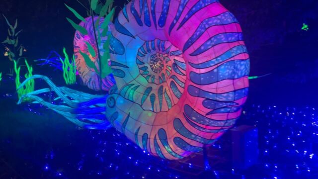 Incredible show this year! 👏🏻👏🏻👏🏻 #chinalights #underthesea @boernerbotanicalgardens